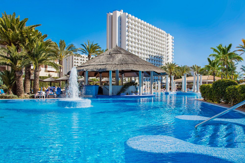 Thatched swim-up pool bar at Sol Pelicanos Ocas