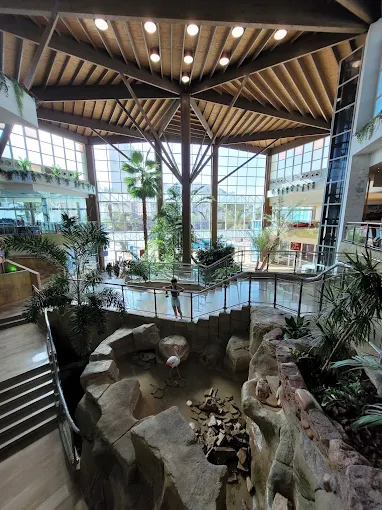 Wooden pergola atrium over the pond and lobby stairs at Flamingo Oasis Benidorm