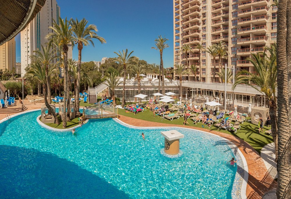Palm-lined pool and sun terrace at Magic Tropical Splash